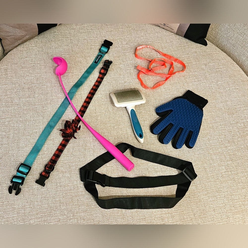 A Lot of Misc Dog Items